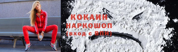 ECSTASY Белокуриха
