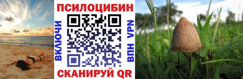 Псилоцибиновые грибы MAGIC MUSHROOMS  Кущёвская 